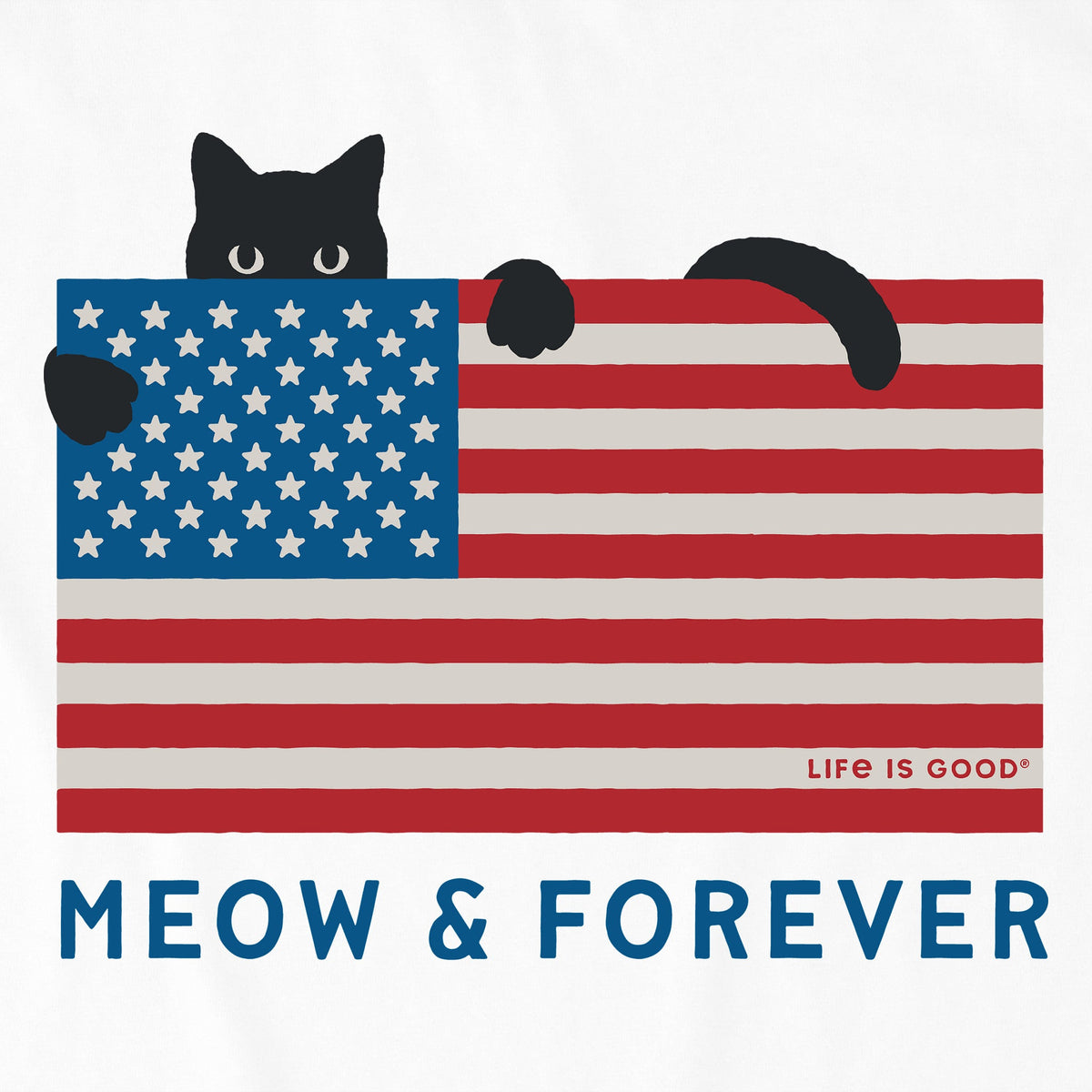 Kids Meow & Forever USA Flag Short Sleeve Crusher Tee product image 2
