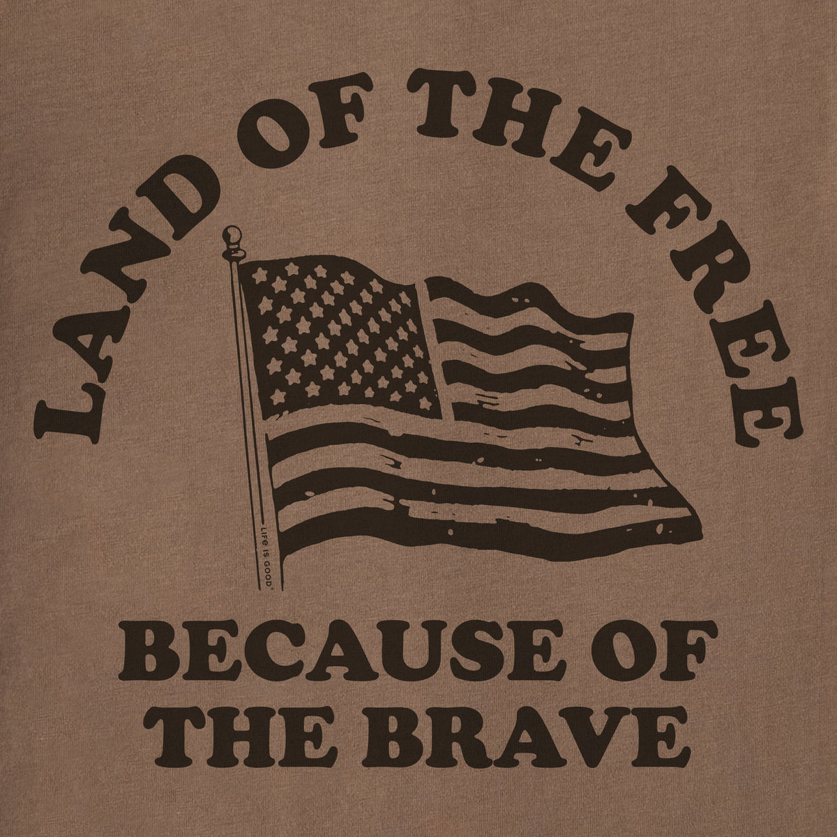 Men's Land of the Free Brave Flag Short Sleeve Crusher Tee product image 2