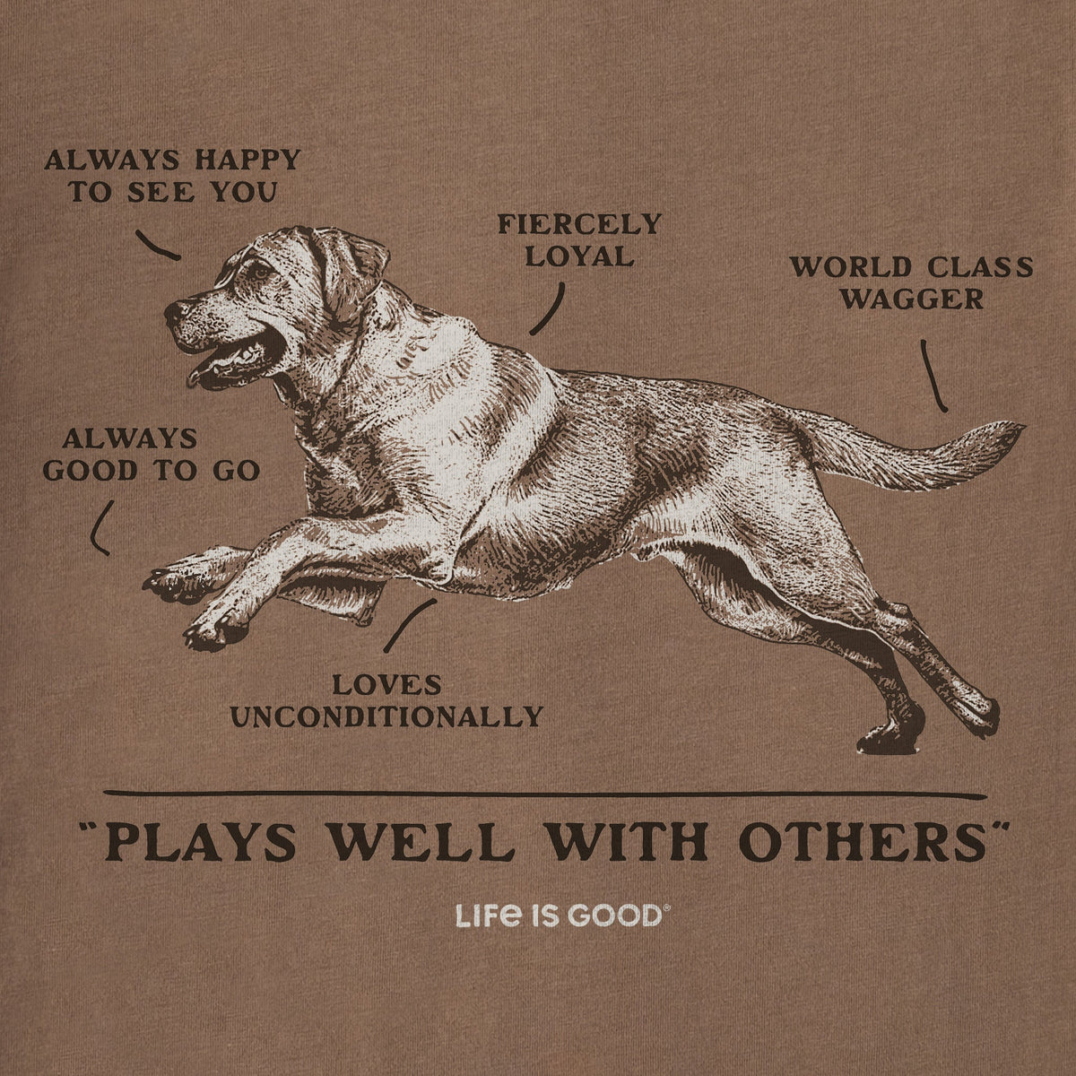 Men's Anatomy of a Best Friend Short Sleeve Crusher Tee product image 2