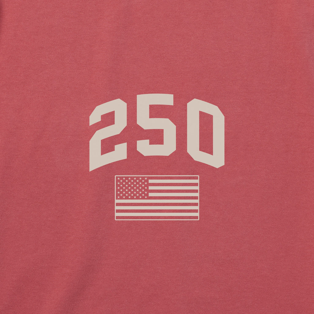 Men's USA Diagonal Short Sleeve Crusher Tee product image 3