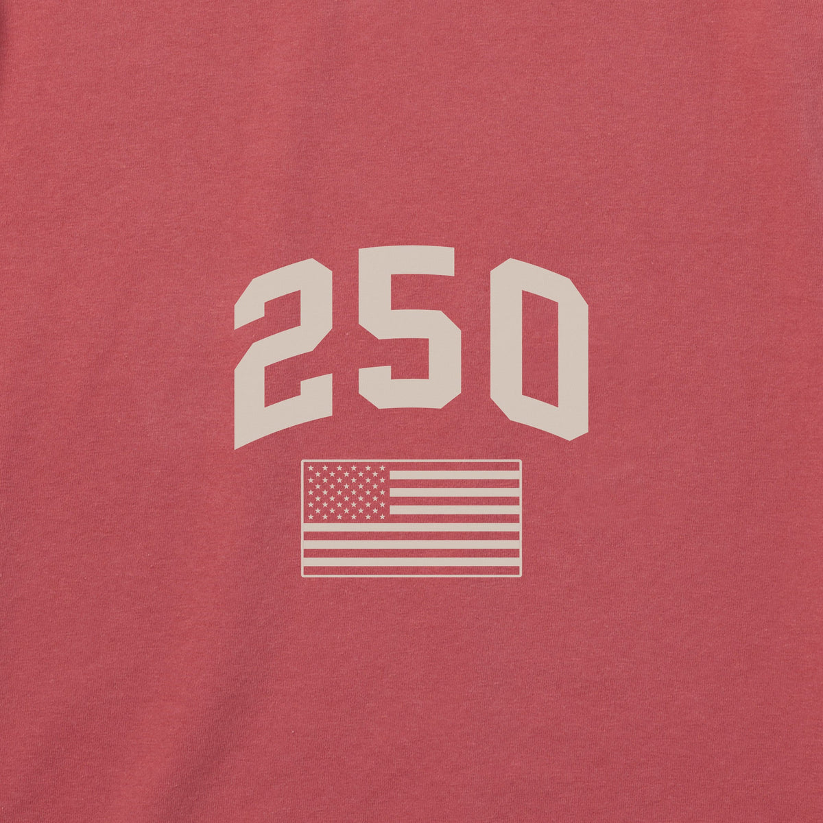 Men's USA Diagonal Short Sleeve Crusher Tee product image 3