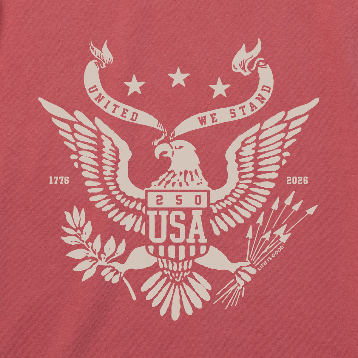 Men's USA Eagle Emblem Short Sleeve Crusher Tee product image 2