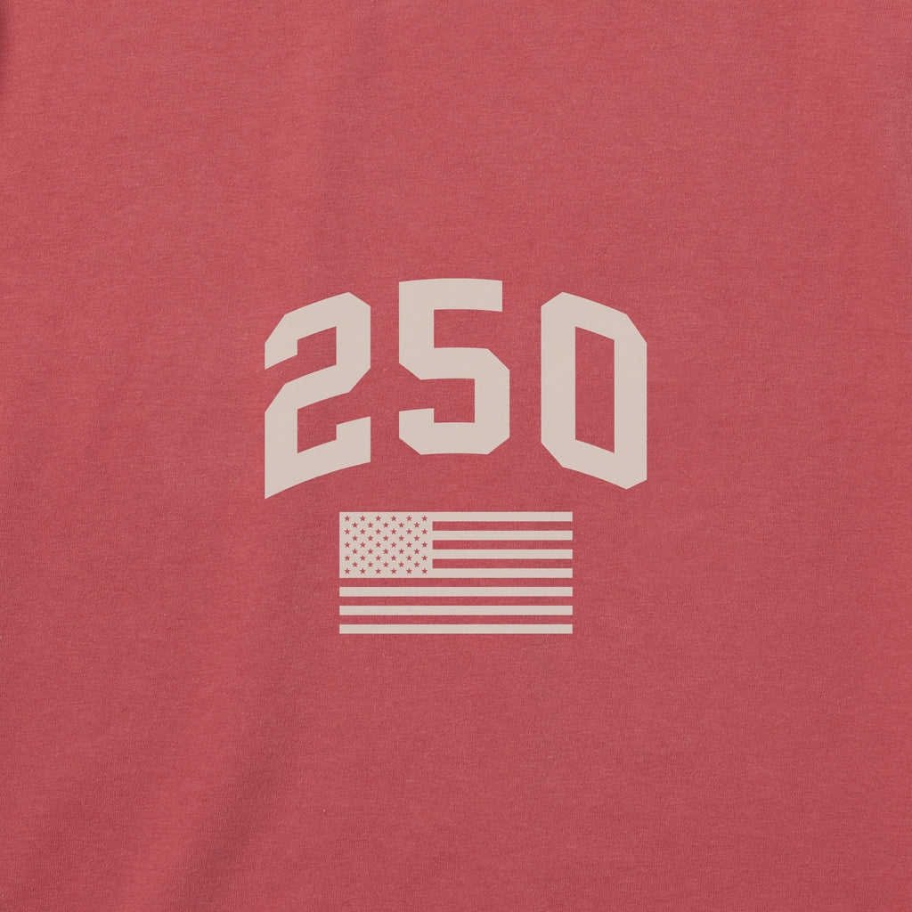 Men's USA Eagle Emblem Short Sleeve Crusher Tee product image 3