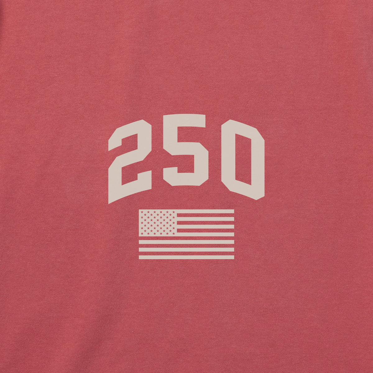 Men's USA Eagle Emblem Short Sleeve Crusher Tee product image 3