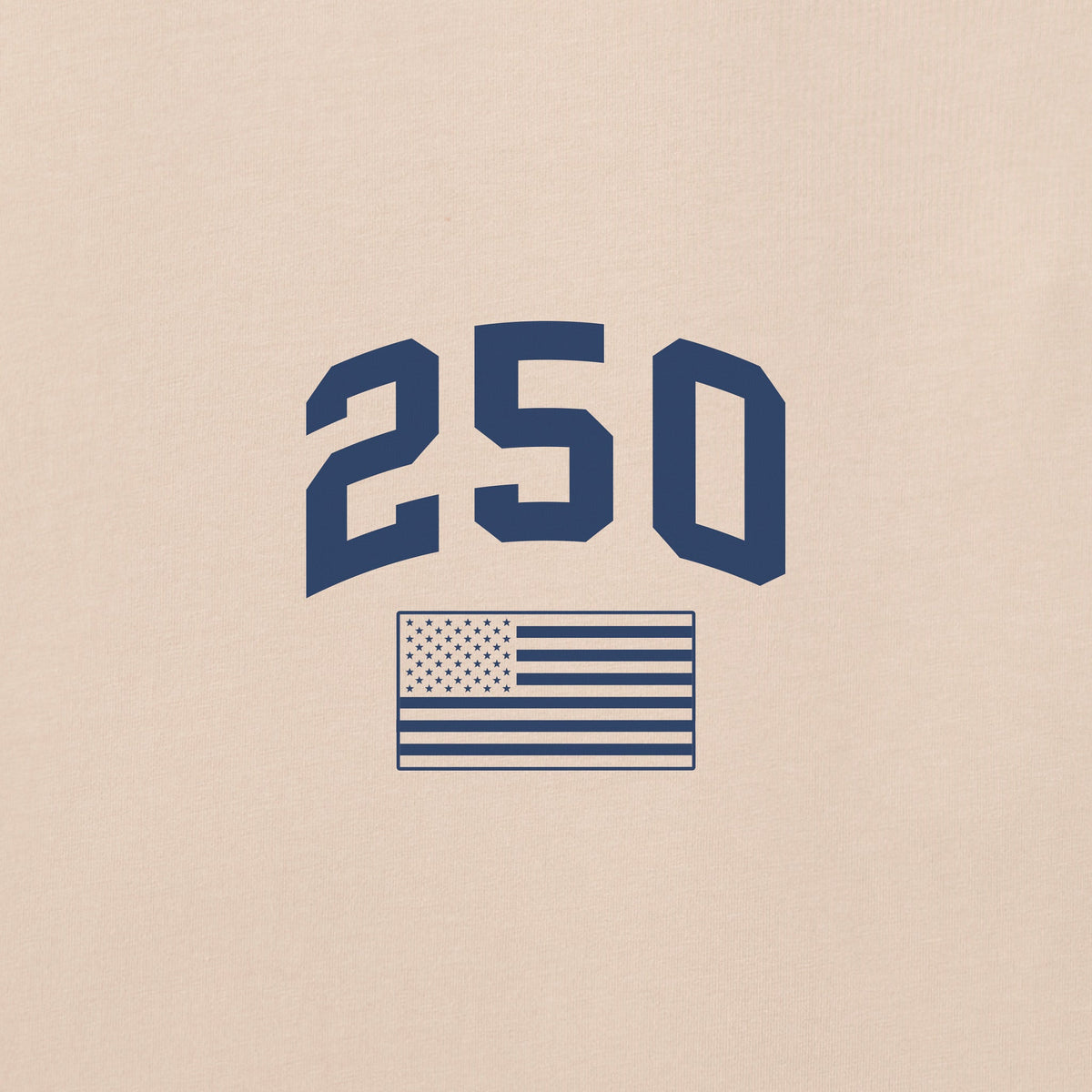 Women's USA Diagonal Short Sleeve Crusher Tee product image 7