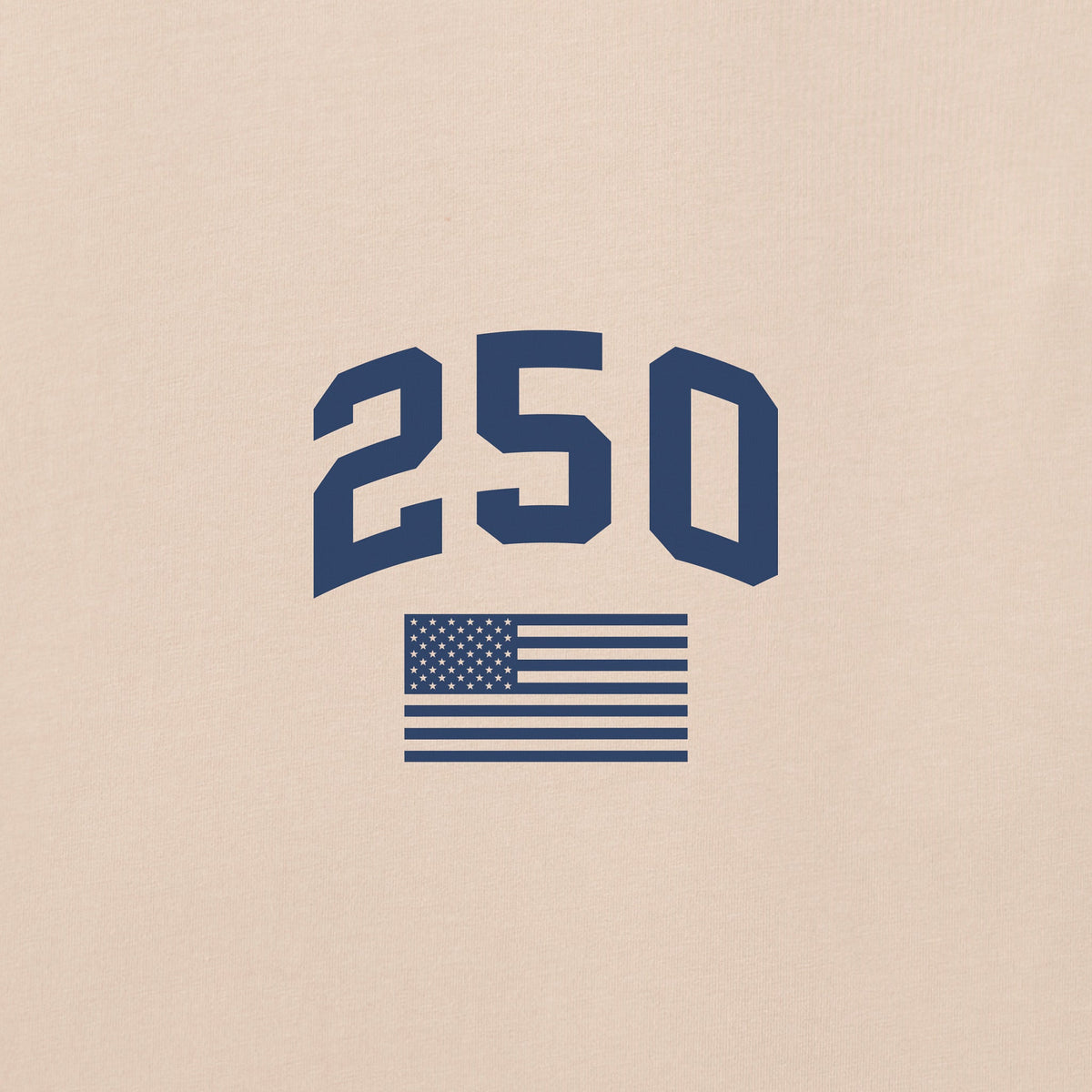 Women's USA Eagle Emblem Short Sleeve Crusher Tee product image 7
