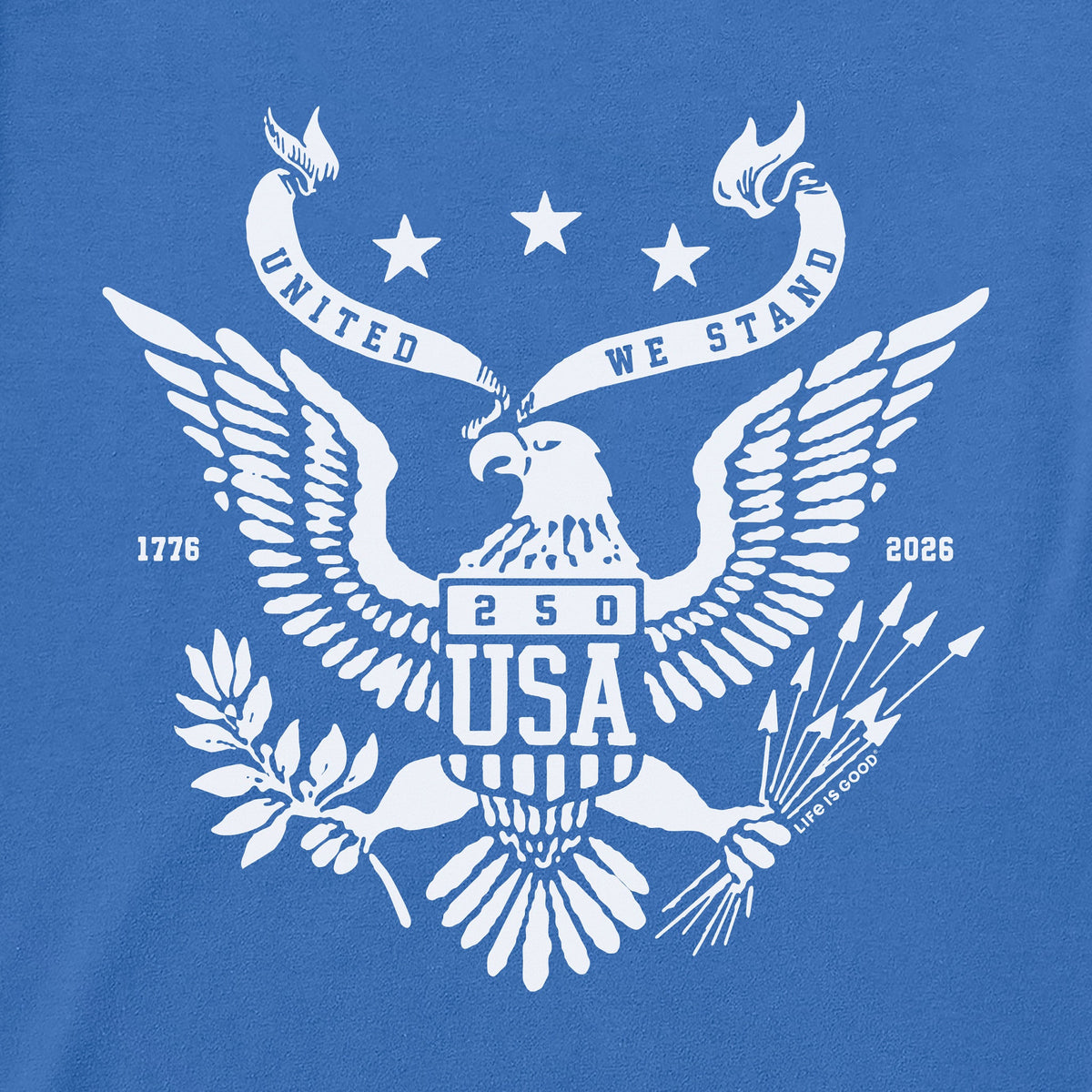 Men's USA Eagle Emblem Short Sleeve Crusher Tee product image 14