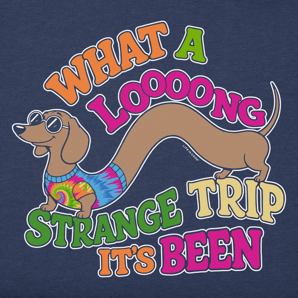 What a Long Strange Trip Dachshund